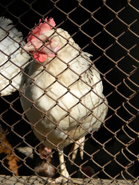 稳健的表现 稳健的表现