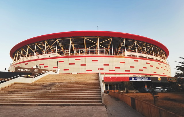 上展现实力 上展现实力