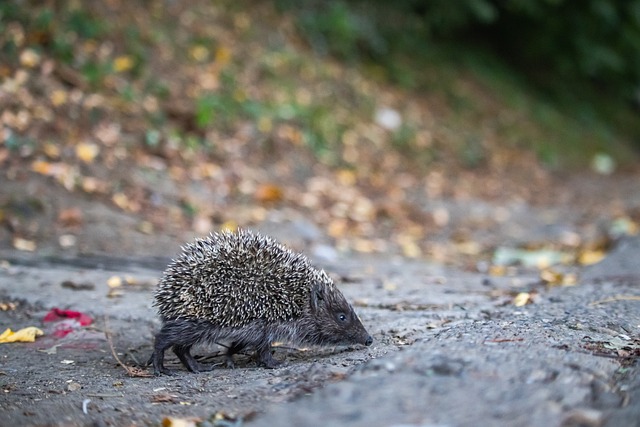 超強的射門 超強的射門