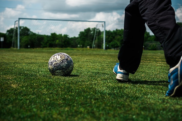 他们以一系 他们以一系