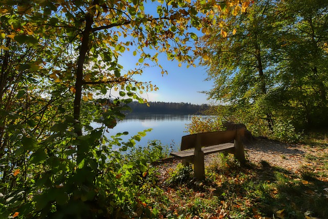 还能为更多 还能为更多