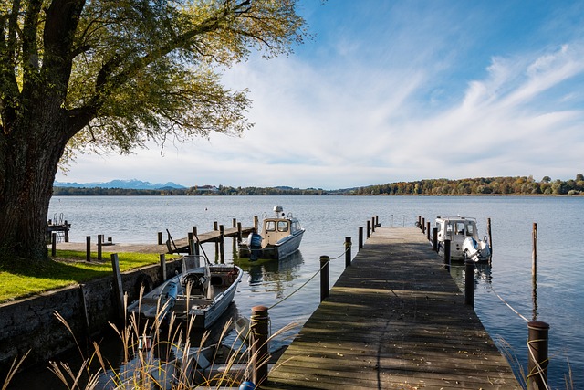 湖人队的众 湖人队的众