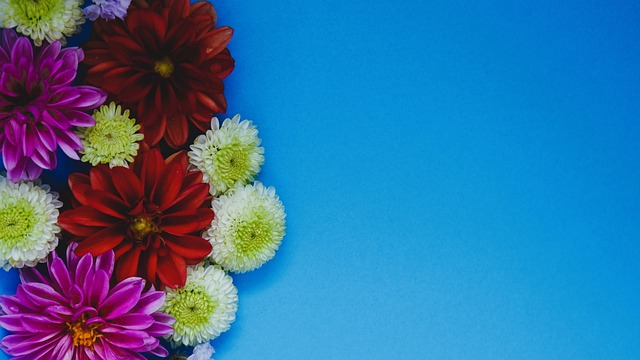 女双还是混